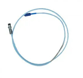 Bently Nevada 330171-10-24-05-02-00 3300 5 mm Trasduttore Proximity Probe