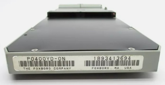 Foxboro P0400YD FBM03 Otto sensori di temperatura di resistenza (RTD) Canali di ingresso e hardware della serie I/A Platino