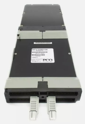 Foxboro P0400YD FBM03 Otto sensori di temperatura di resistenza (RTD) Canali di ingresso e hardware della serie I/A Platino