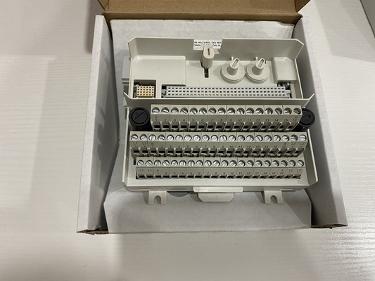 L'ingresso/uscita dello SpA 8 di TU831V1 ABB incanala il DCS 3BSE013235R1 dell'ingresso/uscita esteso del blocchetto terminali S800