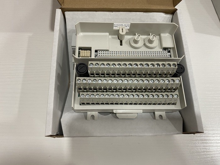 L'ingresso/uscita dello SpA 8 di TU831V1 ABB incanala il DCS 3BSE013235R1 dell'ingresso/uscita esteso del blocchetto terminali S800